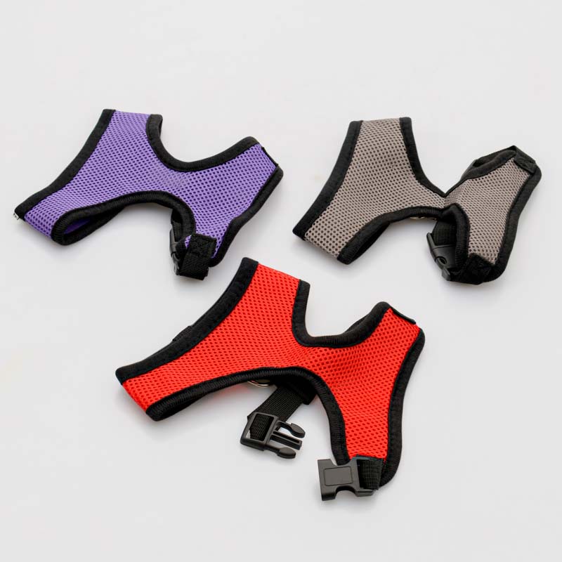 Harnais pour chien