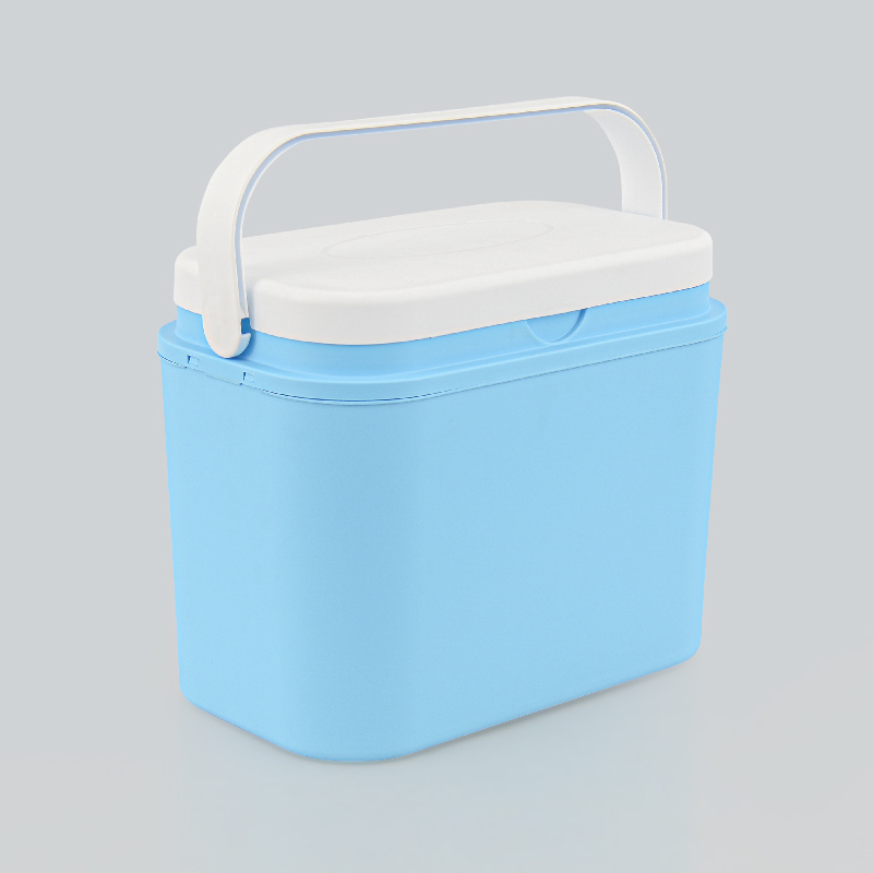 Glacière bleue et blanche 10L