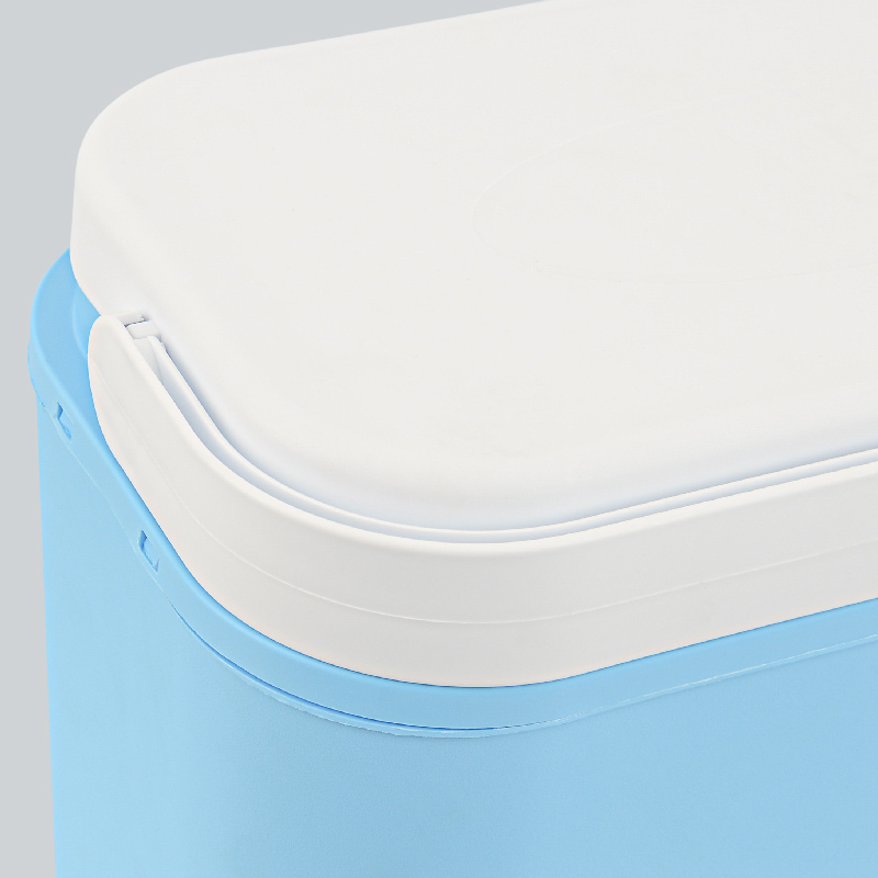 Glacière bleue et blanche 10L