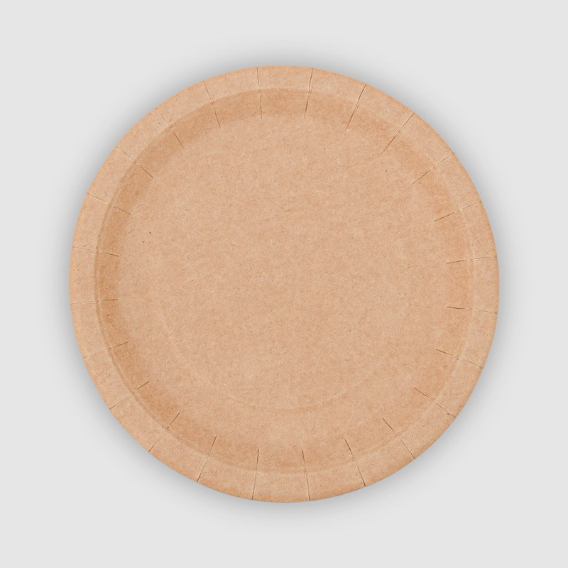 10 assiettes papier kraft