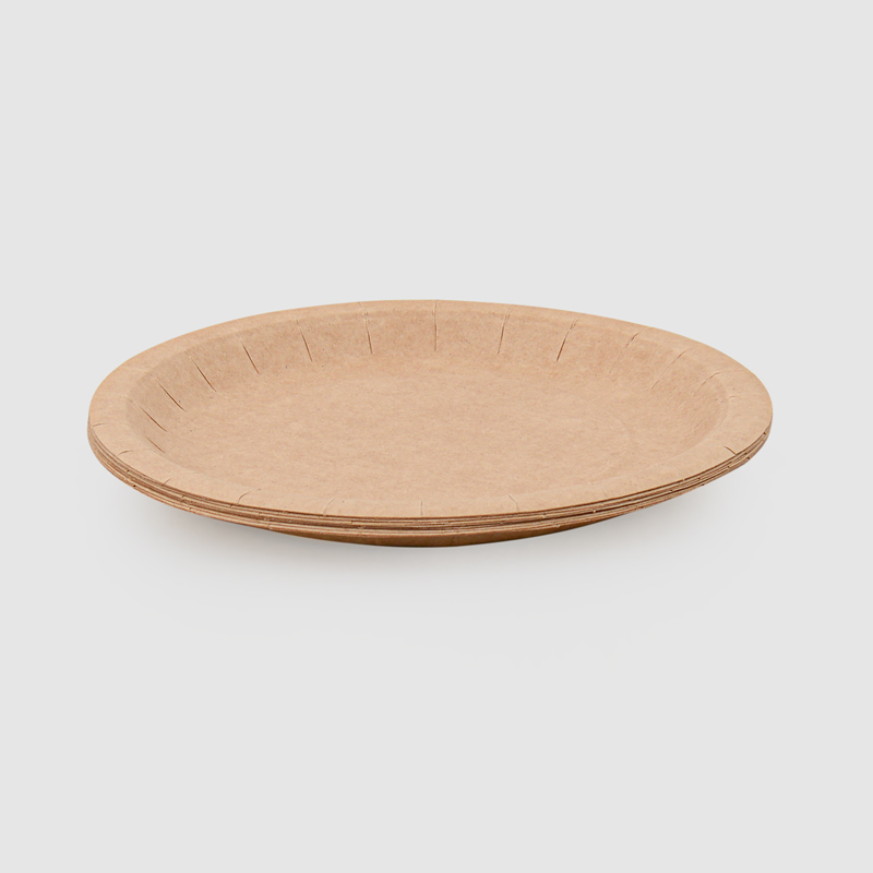 10 assiettes papier kraft