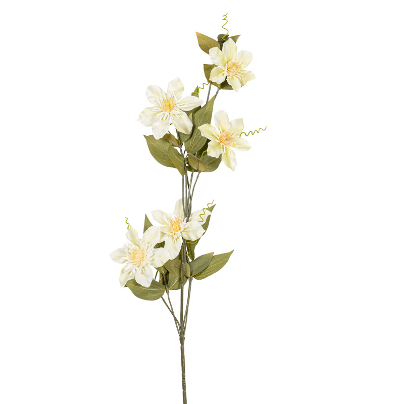 Branche clématite 'Harvest Moon' rose
