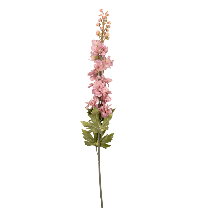 Branche delphinium 'Harvest Moon' rose