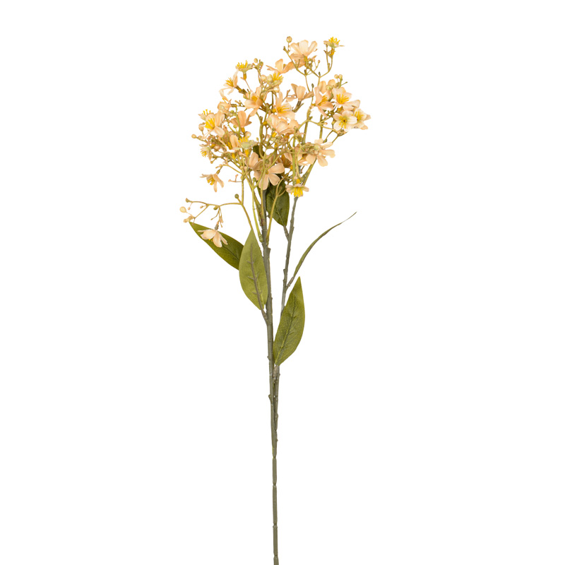 Branche daphne odora 'Harvest Moon' jaune