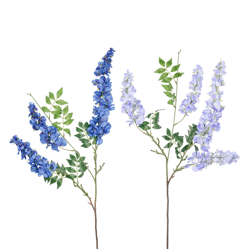 Branche de glycine 'Deep Blue' 100cm