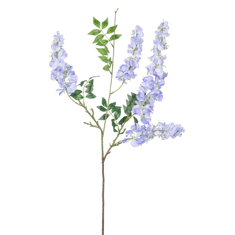 Branche de glycine 'Deep Blue' 100cm