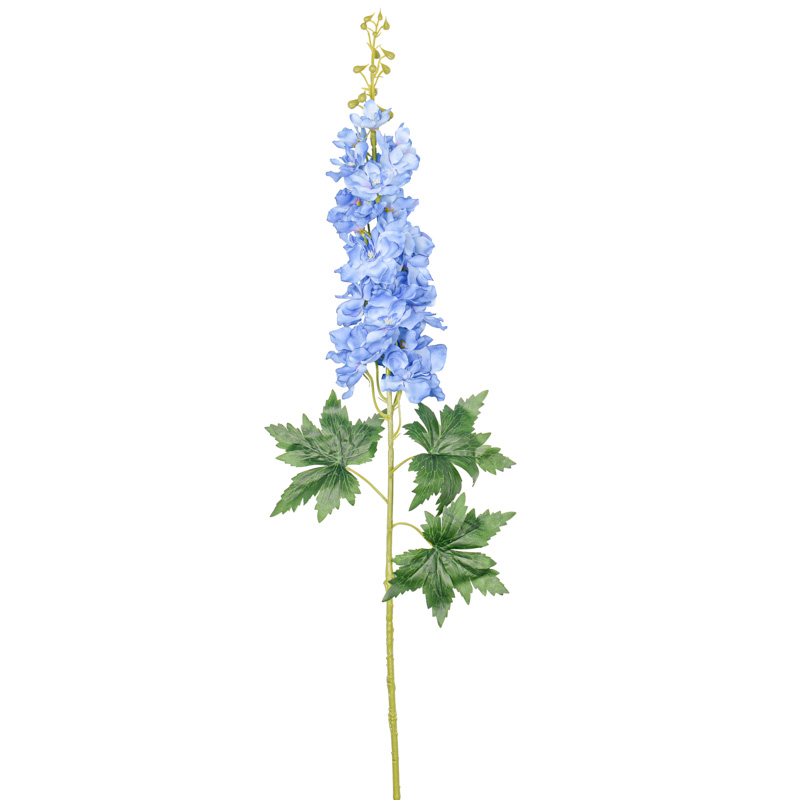 Delphinium 'Deep Blue' 95cm