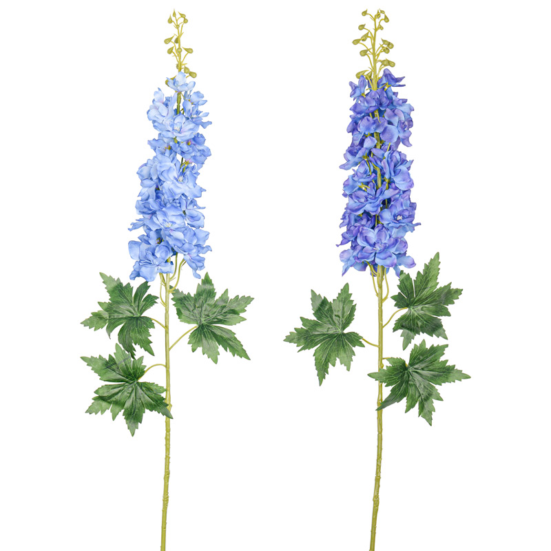 Delphinium 'Deep Blue' 95cm