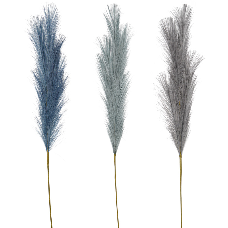 Tige de pampas 'Deep Blue' 95cm