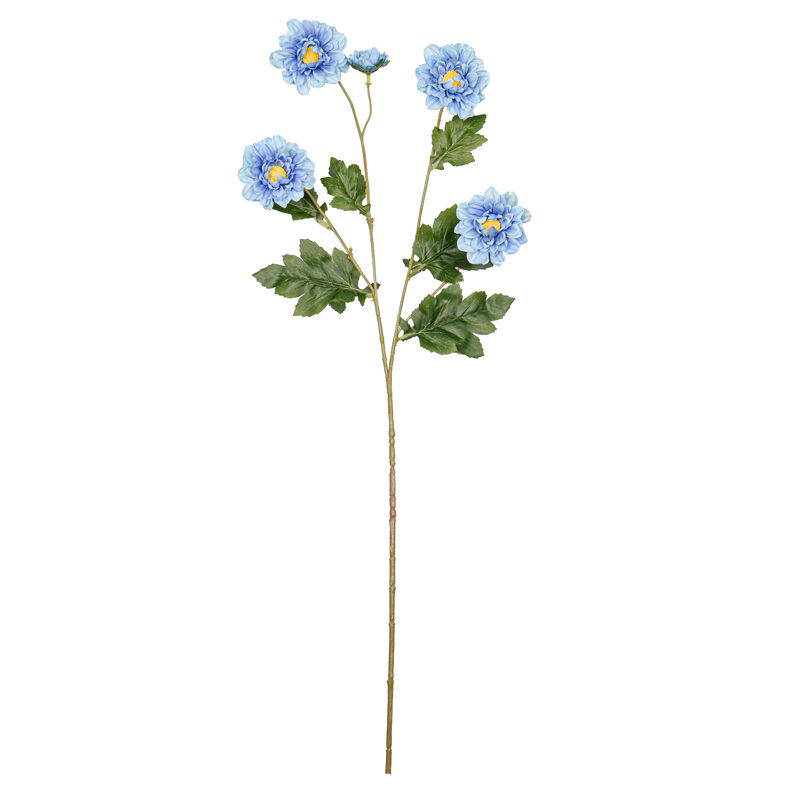Bouton de rose 'Deep Blue'