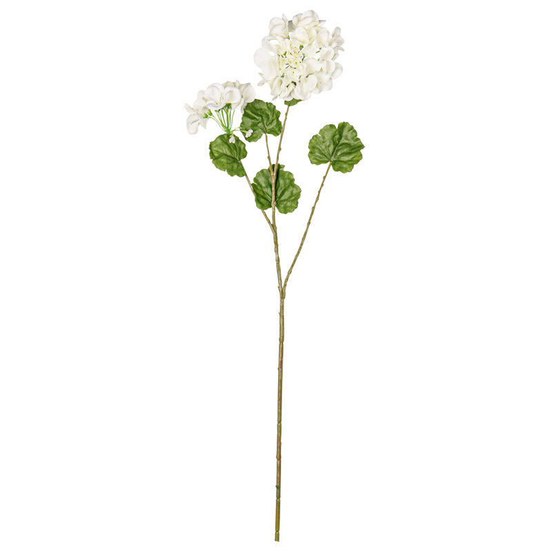 Tige de géranium