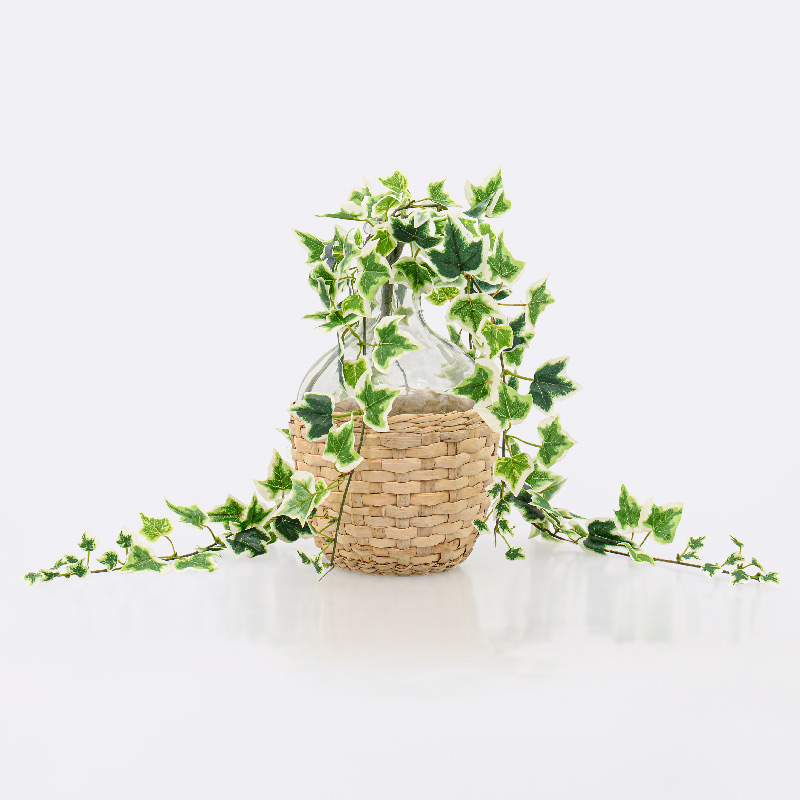 Vase avec tressage transparent