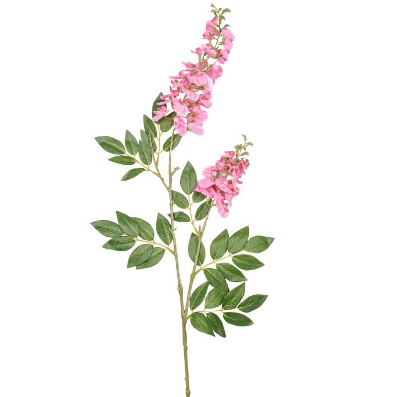 Branche de Glycine