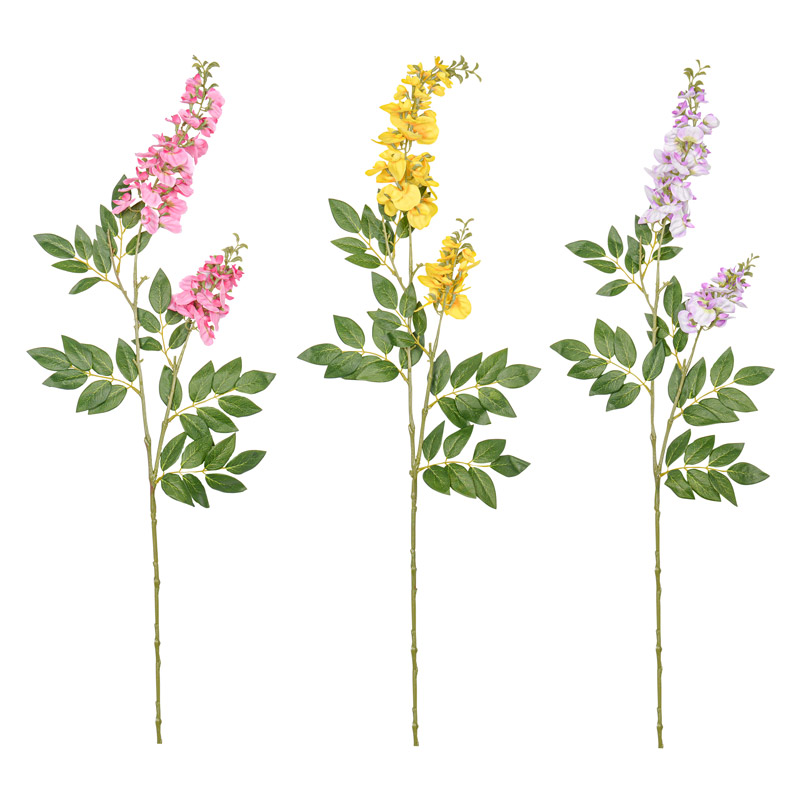 Branche de Glycine