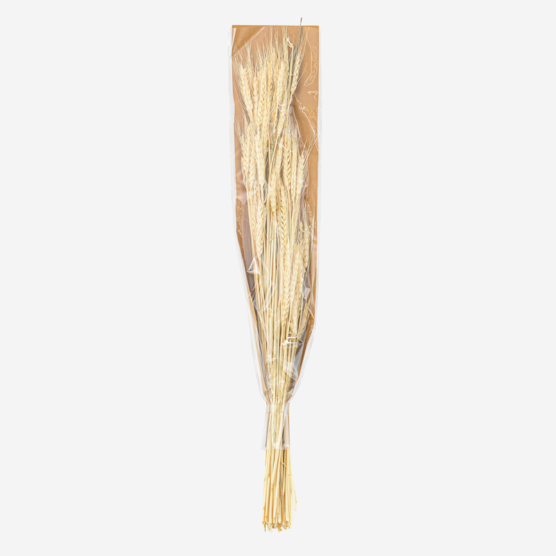 Bouquet d'épis de blé