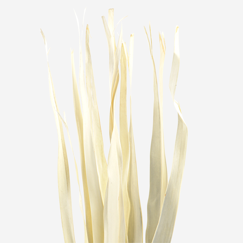 8 feuilles Wavy