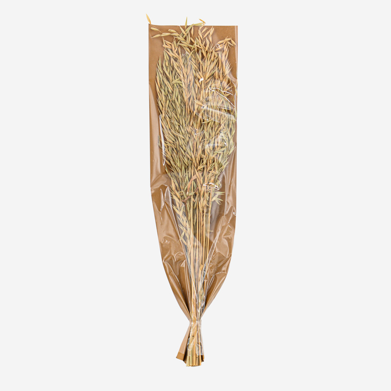 Bouquet d'avoine