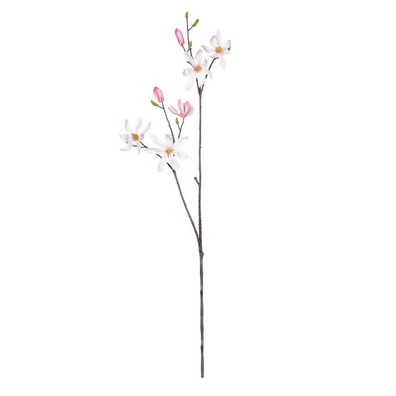 Tige de magnolia 