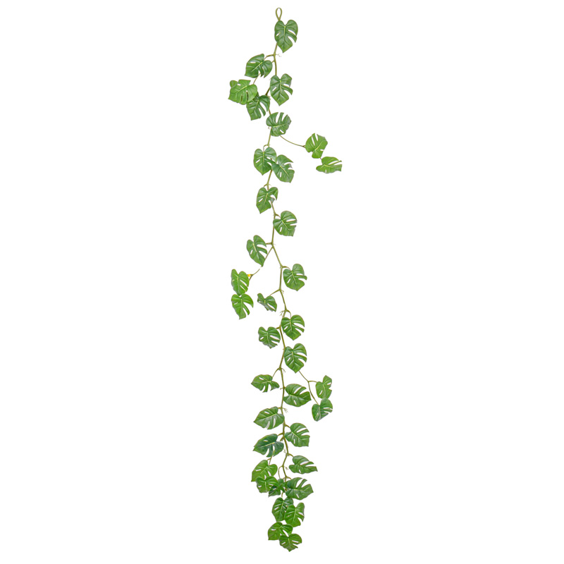 Guirlande de 'Monstera Philo' verte