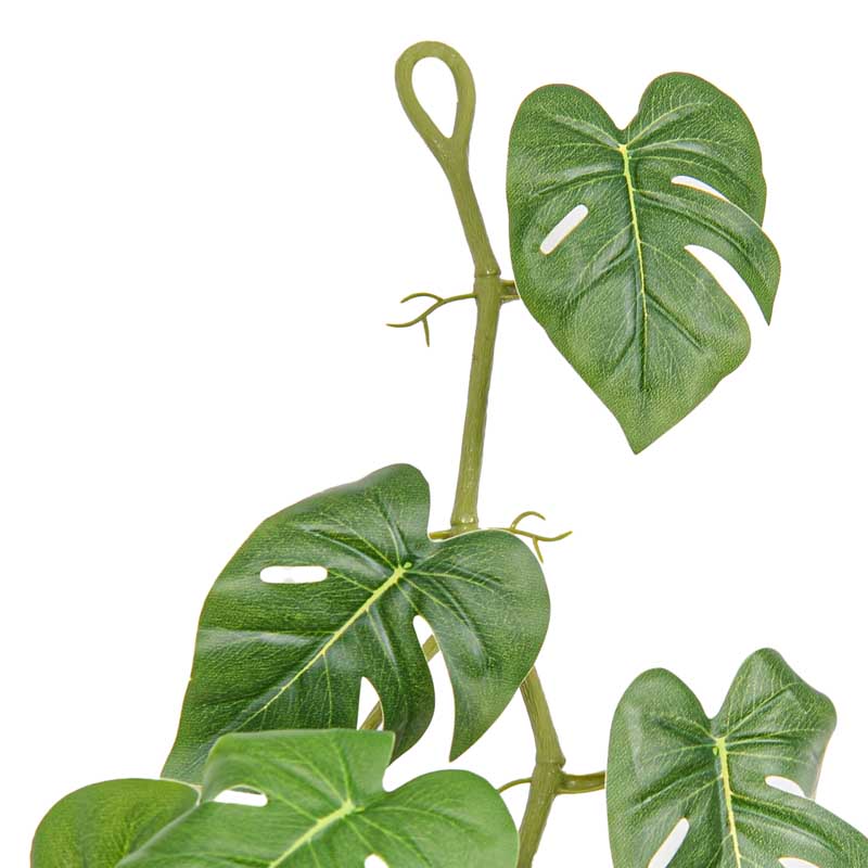 Guirlande de 'Monstera Philo' verte