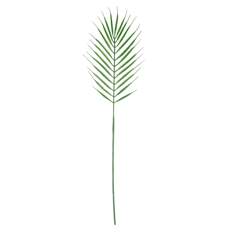 Feuille de palmier 'Areca'