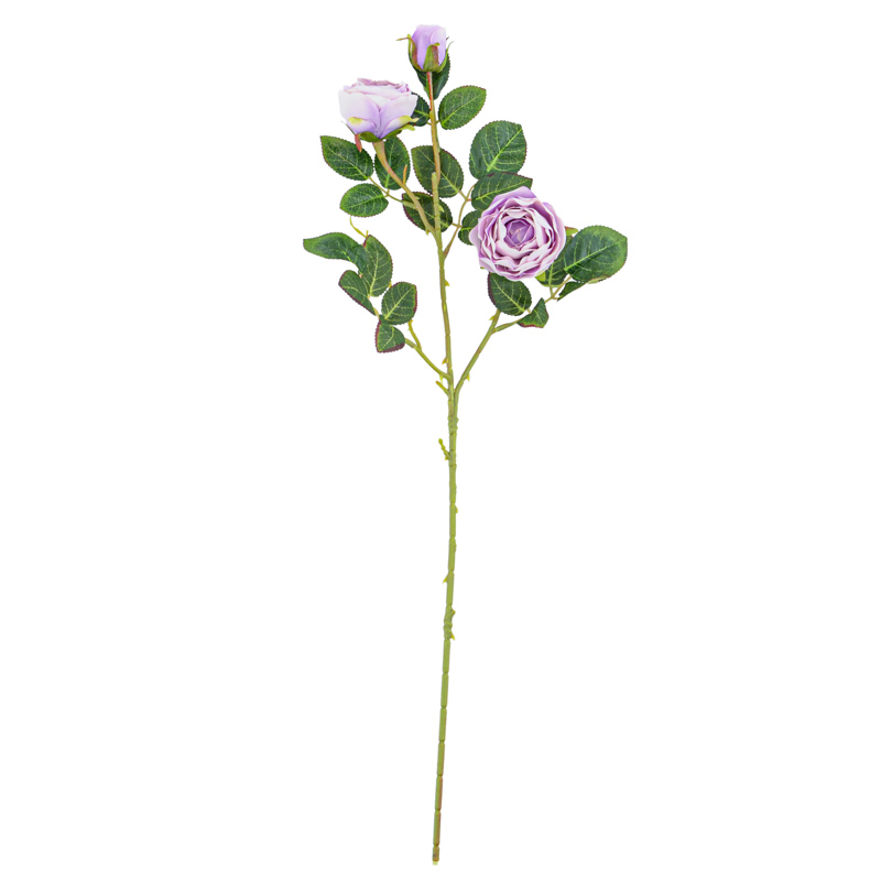 Tige de bouton de rose