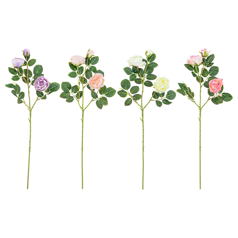 Tige de bouton de rose