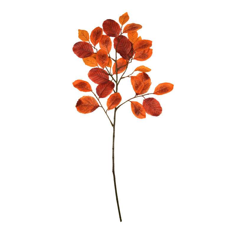 Tige de feuilles de bouleau 'Coeur d'Automne'