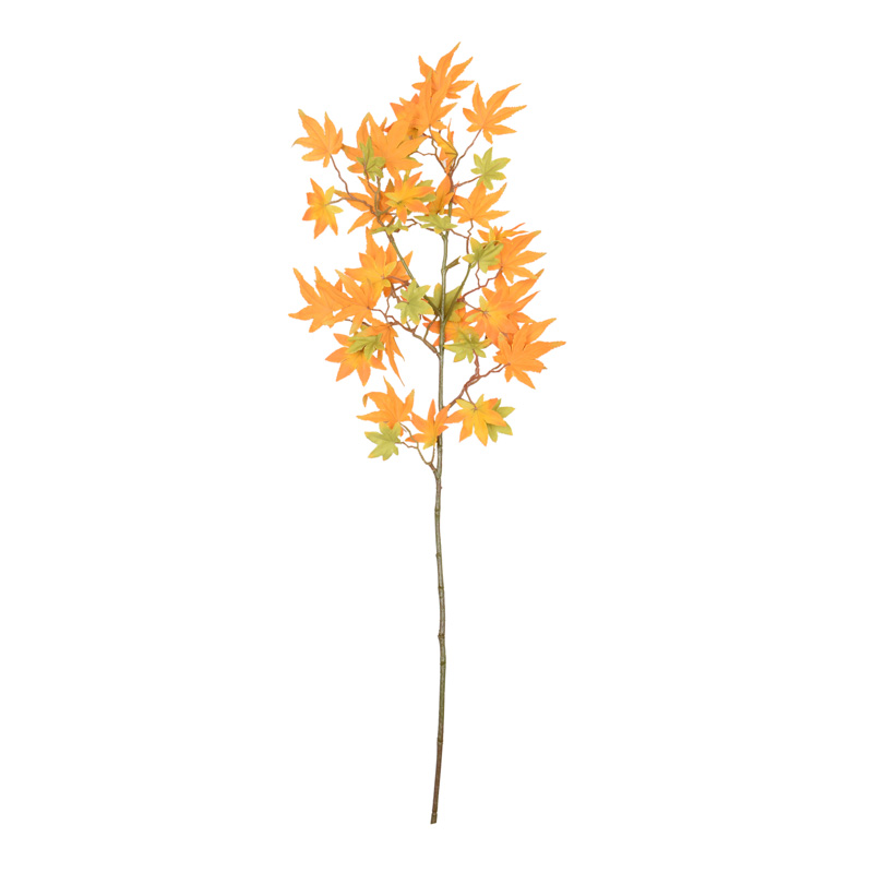 Tige de feuilles d'érable 'Coeur d'Automne'