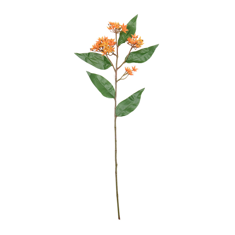 Herbe à papillons 'Coeur d'Automne' orange