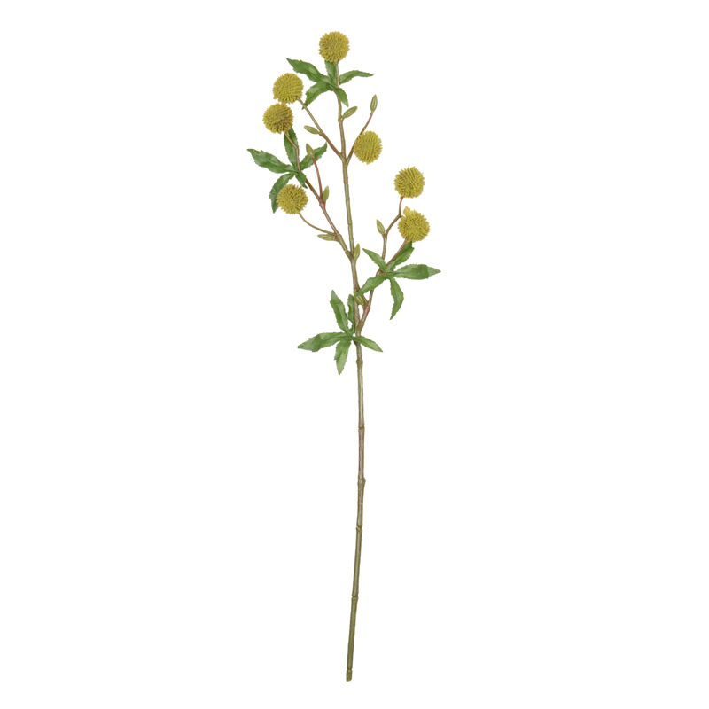 Branche de noisetier 'Coeur d'Automne'