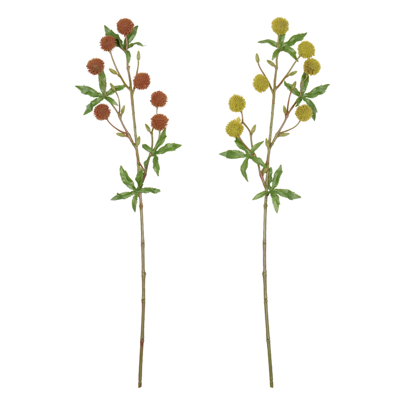 Branche de noisetier 'Coeur d'Automne'