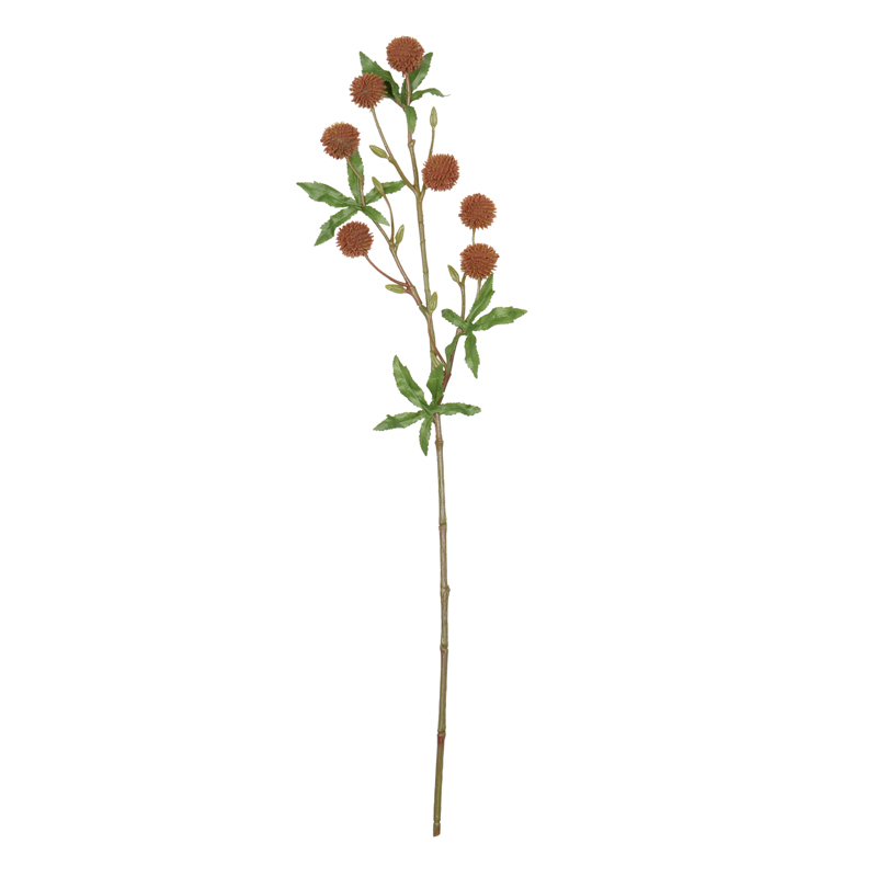 Branche de noisetier 'Coeur d'Automne'