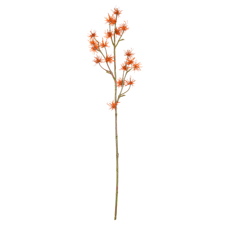 Branche d'hamamélis 'Coeur d'Automne' 