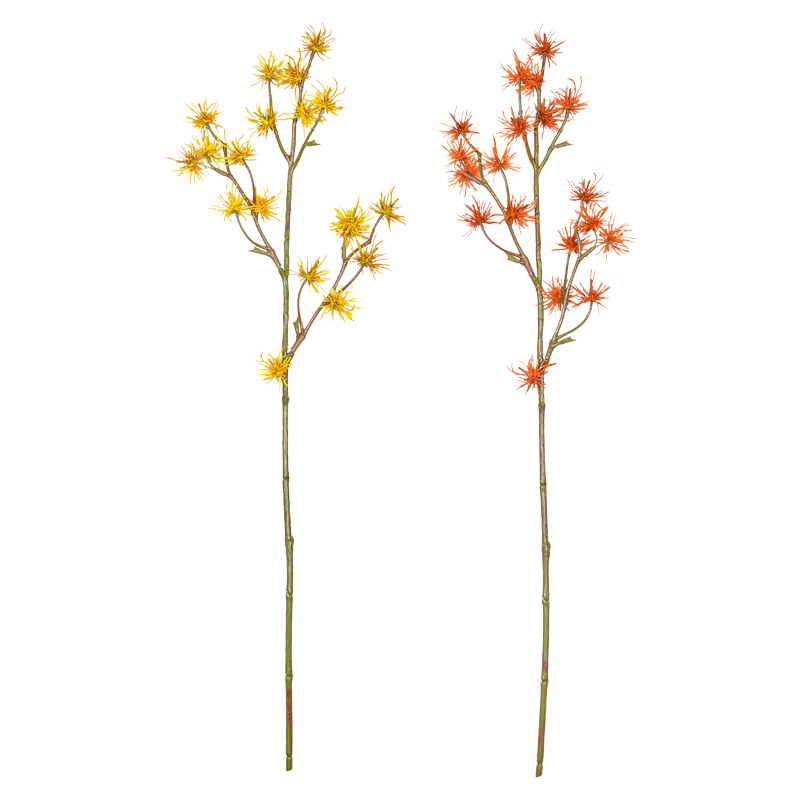 Branche d'hamamélis 'Coeur d'Automne' 