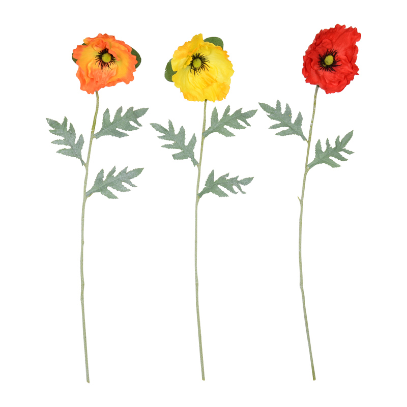 Tige de coquelicot 