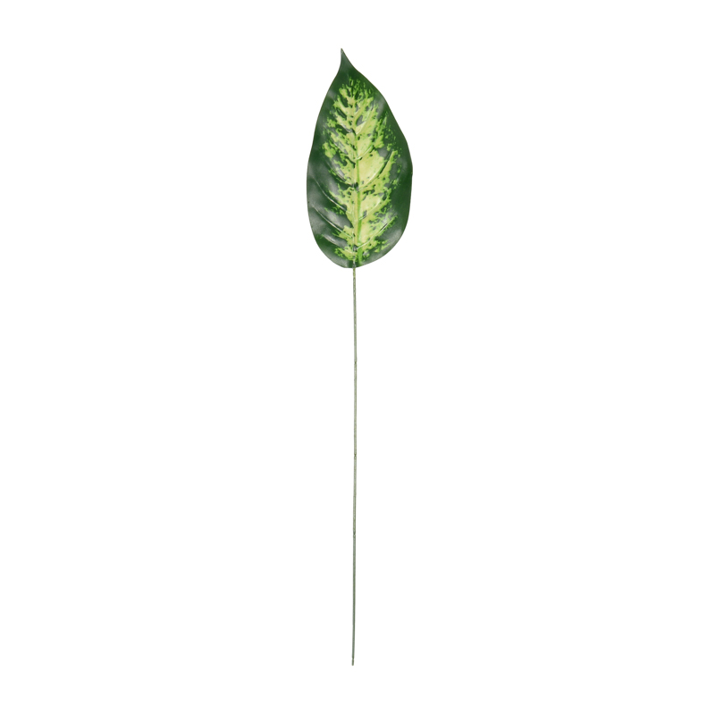 Feuille de camilla verte