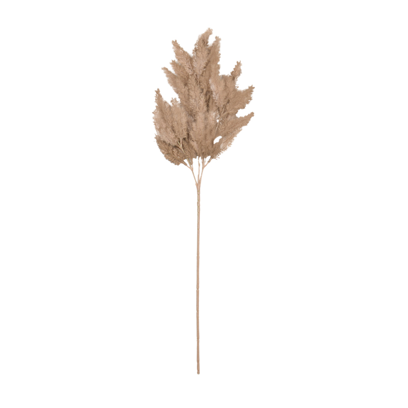 Branche d'astilbe 'Coeur d'Automne'