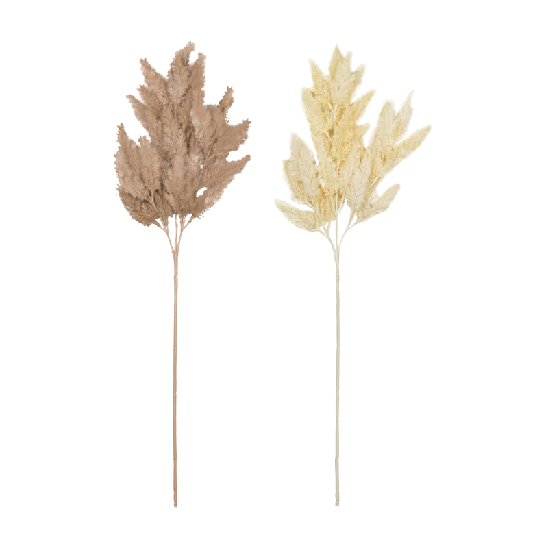 Branche d'astilbe 'Coeur d'Automne'