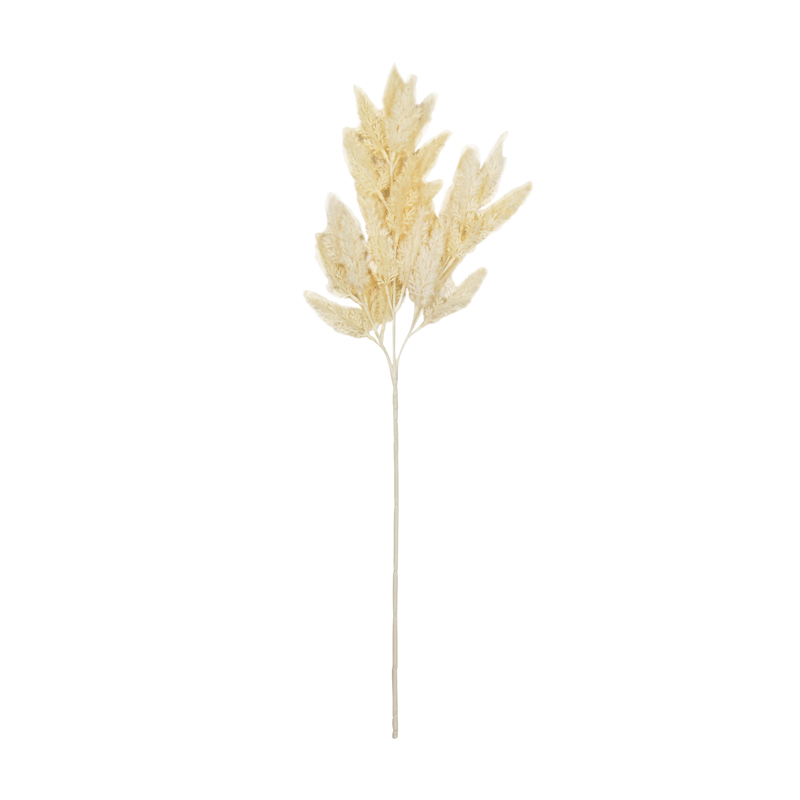 Branche d'astilbe 'Coeur d'Automne'