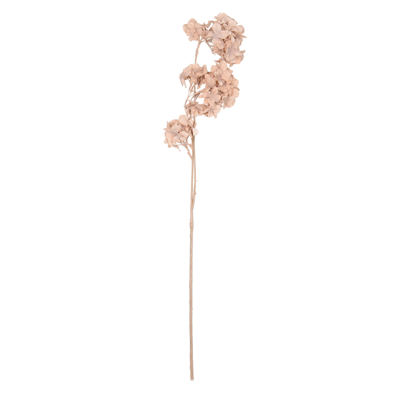 Tige d'hortensia