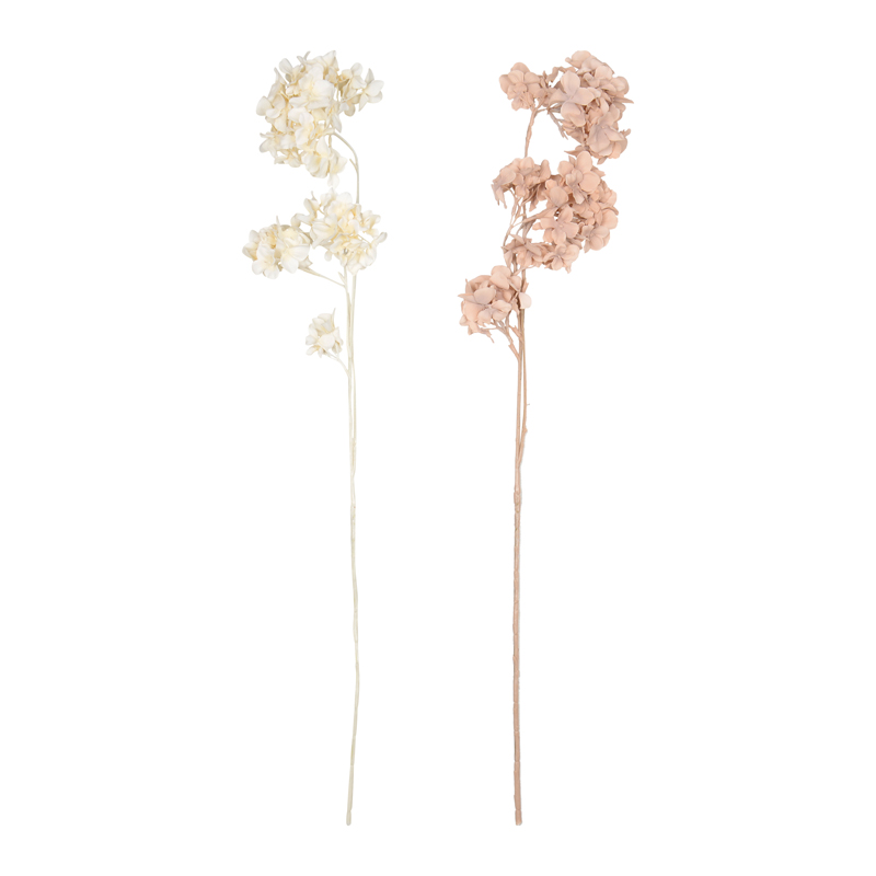 Tige d'hortensia