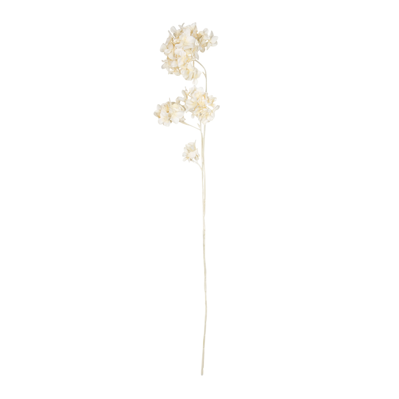 Tige d'hortensia