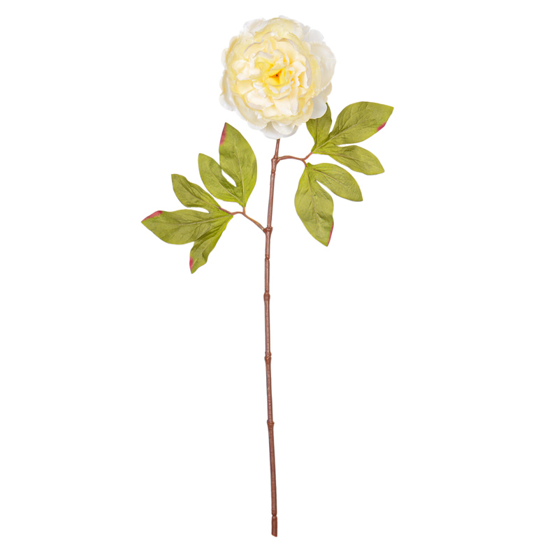 Tige de pivoine rose 