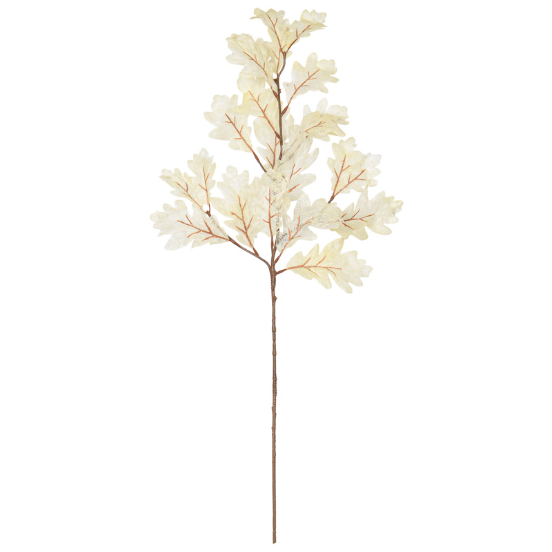Branche feuilles de chêne 'Coeur d'Automne'