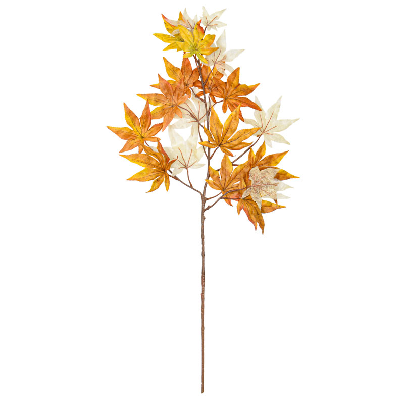 Branche feuilles d'érable 'Coeur d'Automne'