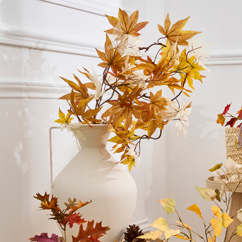 Branche feuilles d'érable 'Coeur d'Automne'