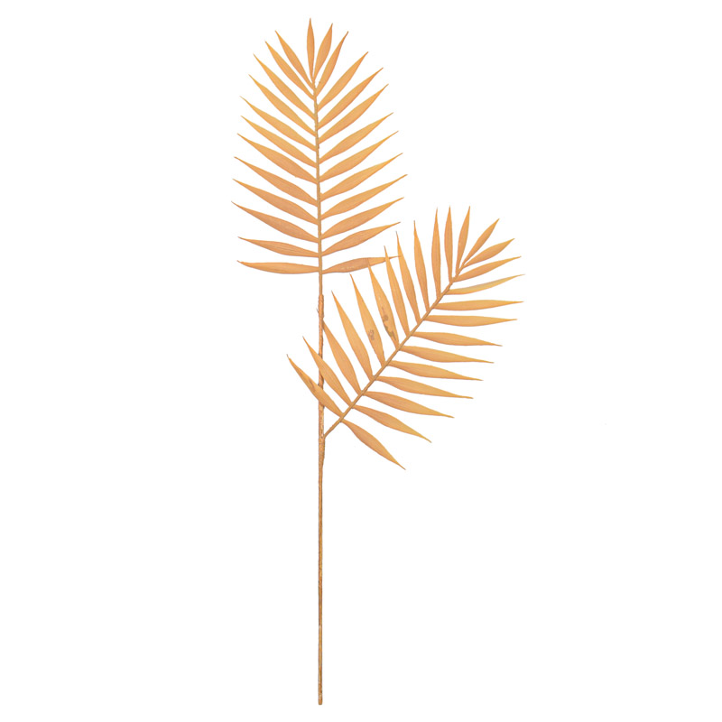 Feuille de palmier 'Areca' 