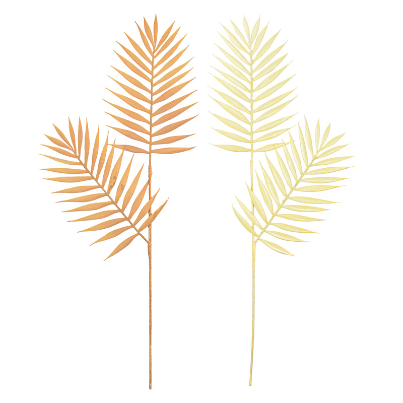 Feuille de palmier 'Areca' 