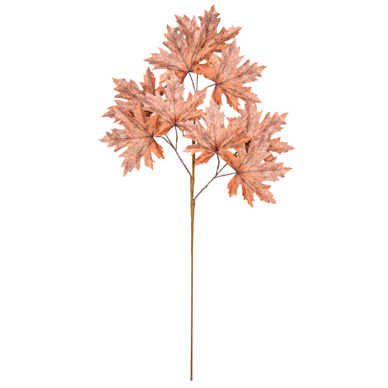 Branche feuilles d'érable 'Coeur d'Automne'